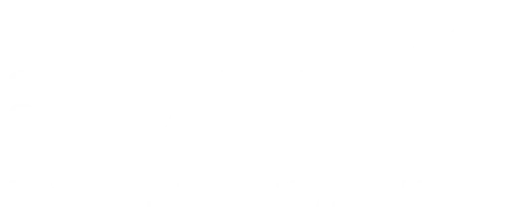 שלוה בניית אתר תדמית סטודיו פורטה תמרה גפניאל עיצוב אתרים
